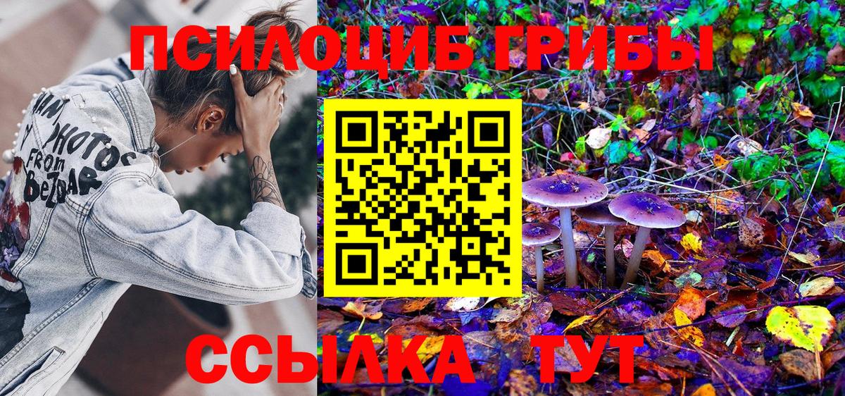 Малоярославец  Галлюциногенные грибы ЛСД  Вход с VPN 