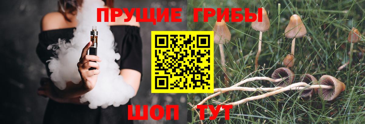 Галлюциногенные грибы ЛСД Малоярославец