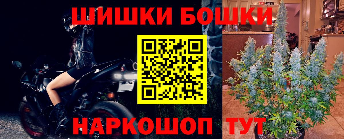 Каннабис планчик Малоярославец